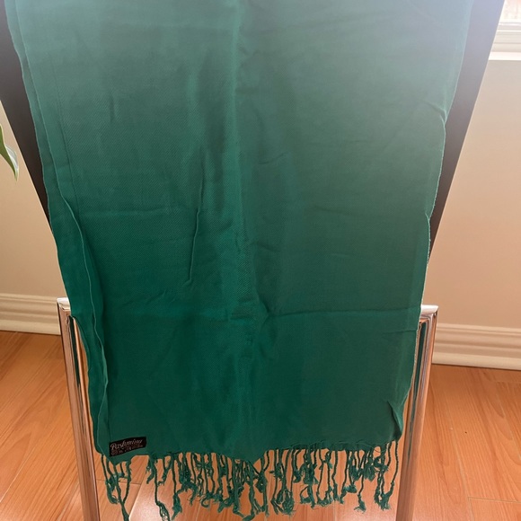 Beautiful aqua (blu/green) Pashmina Scarf - Picture 3 of 3